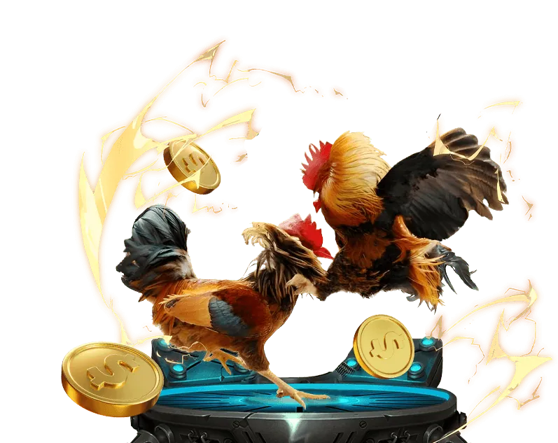 Biểu đồ minh họa các loại cookie được fu88 casino sử dụng